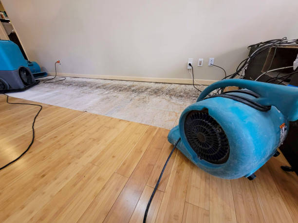 Professional Basement Flood Cleanup technician working in Gladstone, MO